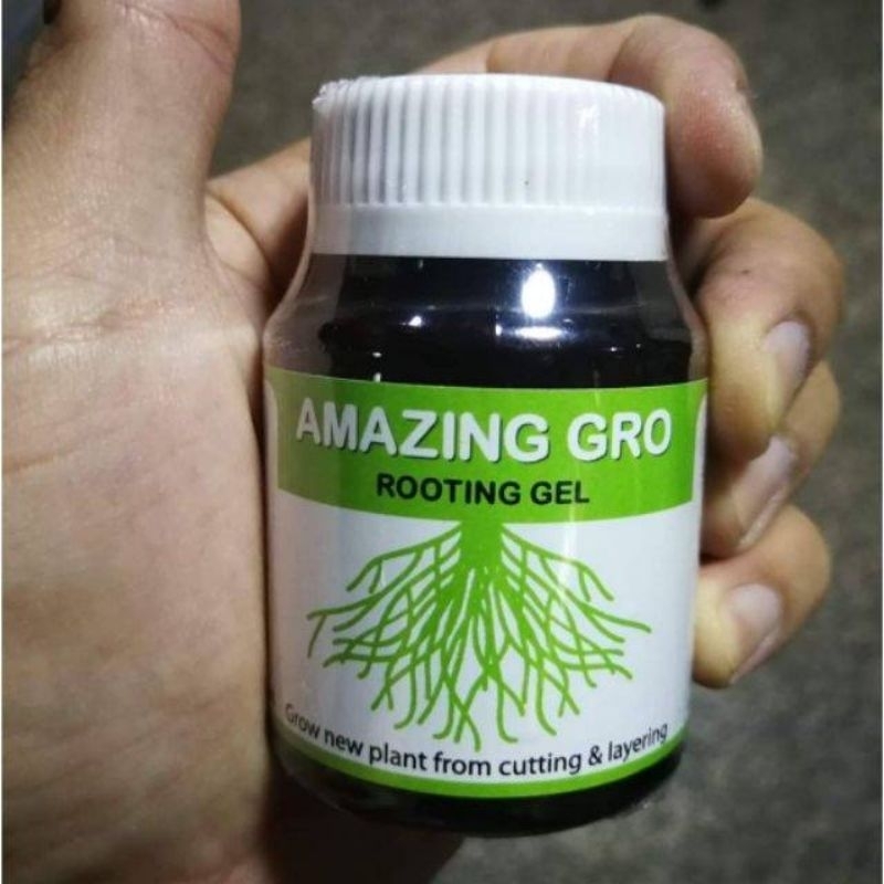 Amazing Gro เจลเร่งราก สูตรเข้มข้น เร่งรากเร็วเยอะ