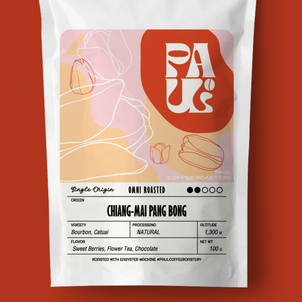 CHIANG-MAI PANG BONG