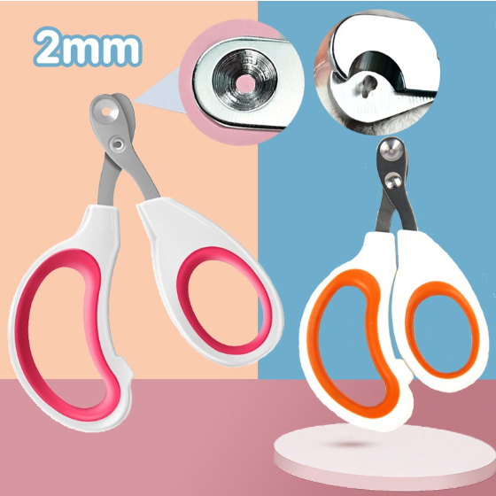 รูปภาพ 2