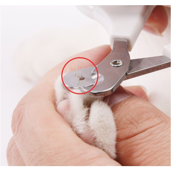 รูปภาพ 3