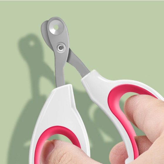 รูปภาพ 4