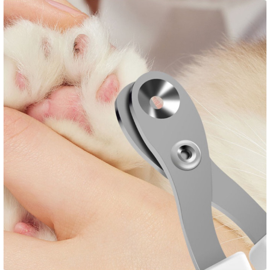 รูปภาพ 7