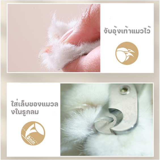 รูปภาพ 6