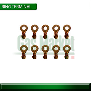 หางปลา ทองเหลือง 6 มิล 10ตัว -  RING TERMINAL 6 MM 10 PCS