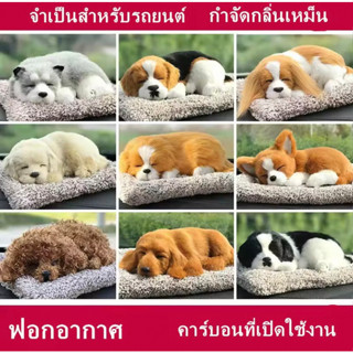 ตุ๊กตาดับกลิ่น ตุ๊กตาดับกลิ่นดูดกลิ่น แมวดับกลิ่น หมาดูดกลิ่น ถุงดับกลิ่น ปรับอากาศ ดูดกลิ่นในรถ น่ารักเหมือนจริง