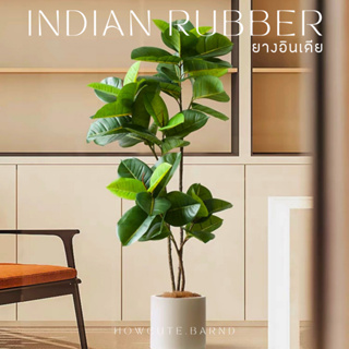 [PRE15วันค่ะ]🪴INDIAN RUBBER TREE ต้นยางอินเดียปลอม ฟอร์มสวยมาก ใบเหมือนจริงมากๆ มินิมอลดูดี แต่งบ้านสวยสุดๆ