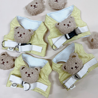 *พร้อมส่ง* Harness Lemon Cute Bear** ราคารวมสายจูงแล้ว**