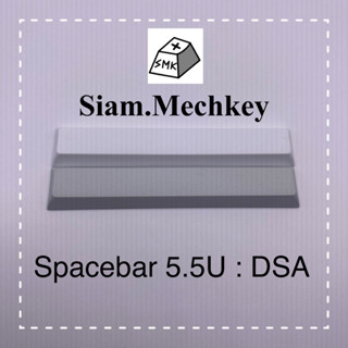 พร้อมส่ง ของแท้ 2สี Spacebar 5.5U : DSA Profile Keycap คุณภาพดี PBT คีย์แคปเปล่า Mechanical Keyboard