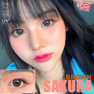 คอนเเทคเลนส์ kittykawaii Sakura brown (dia14.5)