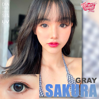 คอนเเทคเลนส์ Kittykawaii Sakura gray (dia14.5)