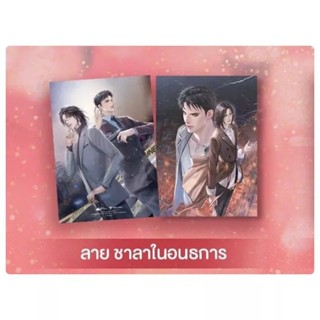 [พรีเมียม] แฟ้ม sense book - ชาลาในอนธการ