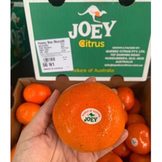 พร้อมส่ง‼️(1KG) ส้มแมนดาริน ออสเตเลีย🇦🇺