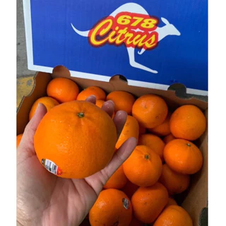 พร้อมส่ง‼️(1KG) ส้มแมนดาริน ออสเตเลีย🇦🇺
