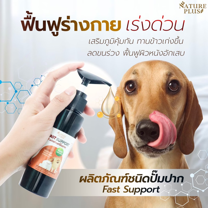 [พร้อมส่ง] Fast Support  เสริมภูมิคุ้มกัน กินเก่ง ร่าเริง ฟื้นฟูร่างกายเร่งด่วน ผลิตภัณฑ์ปั๊มปาก สุนัขและแมว