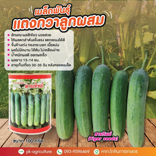 เมล็ดพันธุ์แตงกวาสายทิพย์ (Tiger seeds) ขนาด 100 กรัม