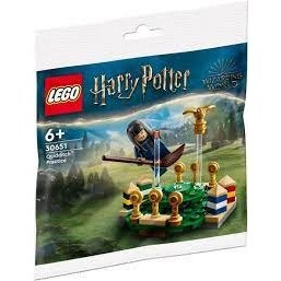 LEGO hobbit99 30651.  Harry Potter Quidditch Training