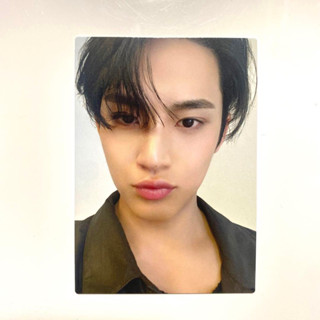 เปิดพรี มินกยู  MINGYU FOLLOW TO JAPAN Trading Card