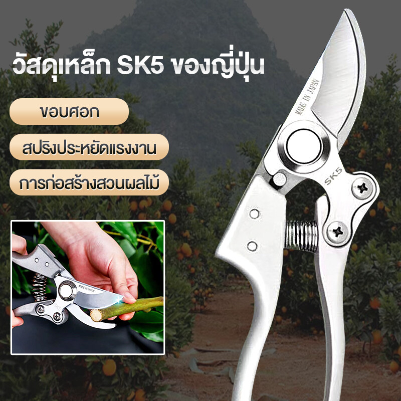 🔹สินค้าพร้อมส่ง🔹✂️กรรไกรตัดกิ่งไม้ กรรไกรตัดหญ้า แต่งสวน กรรไกรตัดกิ่ง sk5✂️ 🔹ราคา87บาท