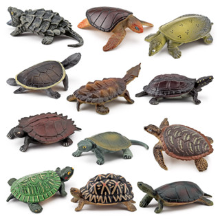 โมเดลสัตว์ โมเดลเต่า โมเดลสัตว์เล้อยคลาน reptile turtle Model real snapping turtle tortoise imitation water turtle