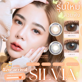 🔥คอนแทคเลนส์✨ขนาดกลาง✨ Silvia (Montra)