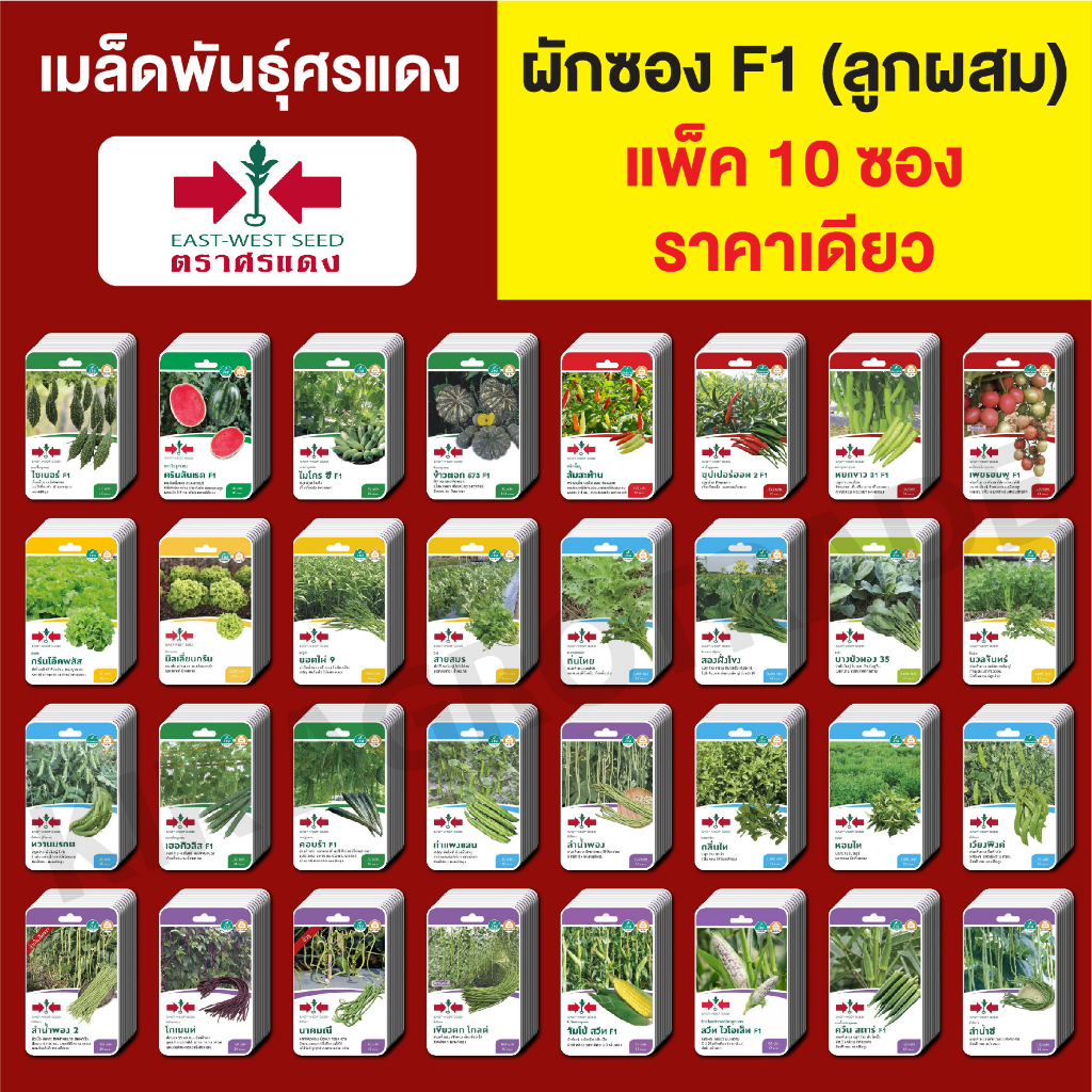 ขายส่ง ผักซอง ศรแดง F1 เมล็ดพันธุ์ พันธุ์ผัก แพ็คล่ะ 10 ซอง ราคา 300 บาท **คละชนิดได้ เพียงกดเลือกสินค้าใส่รถเข็น ก่อนกด