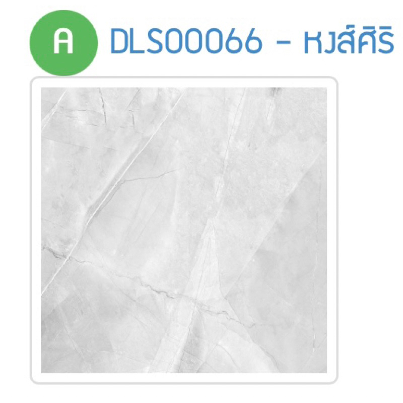 กระเบื้องปูพื้น SWAN หงส์ศิริ 60x60*A