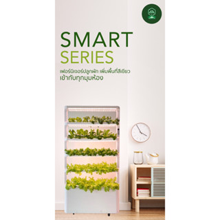 Smart Screen เครื่องปลูกผักอัตโนมัติภายในอาคาร เครื่องปลูกพืช เฟอร์นิเจอร์ปลูกพืช