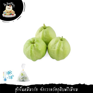 1KG/PACK GUAVA KIMCHU ฝรั่งกิมจู คัดตัดแต่ง