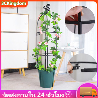 COD 145cm*28cm ซุ้มกุหลาบ ซุ้มกุหลาบเลื้อย โครงกุหลาบเลื้อย ซุ้มไม้เลื้อย