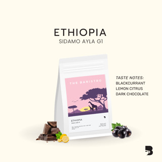 เมล็ดกาแฟ คั่วอ่อน - Ethiopia Sidamo Ayla G