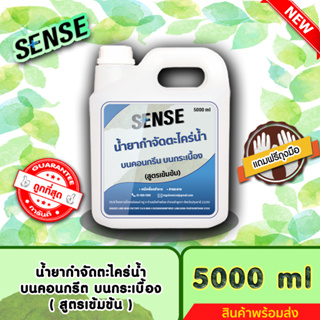 SENSE น้ำยากำจัดตะไคร่น้ำบนคอนกรีต,บนกระเบื้อง,บนทรายล้าง (สูตรเข้มข้น) ขนาด 5000 ml ++สินค้าพร้อมส่ง++ #แถมฟรีถุงมือ 🧤