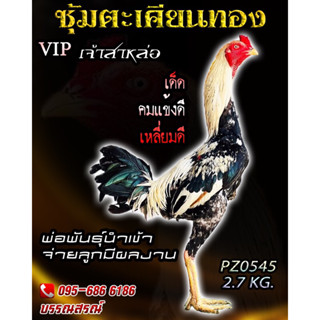 ไข่ไก่สาย ส.มีสุวรรณ100% เจ้าสาหล่อ