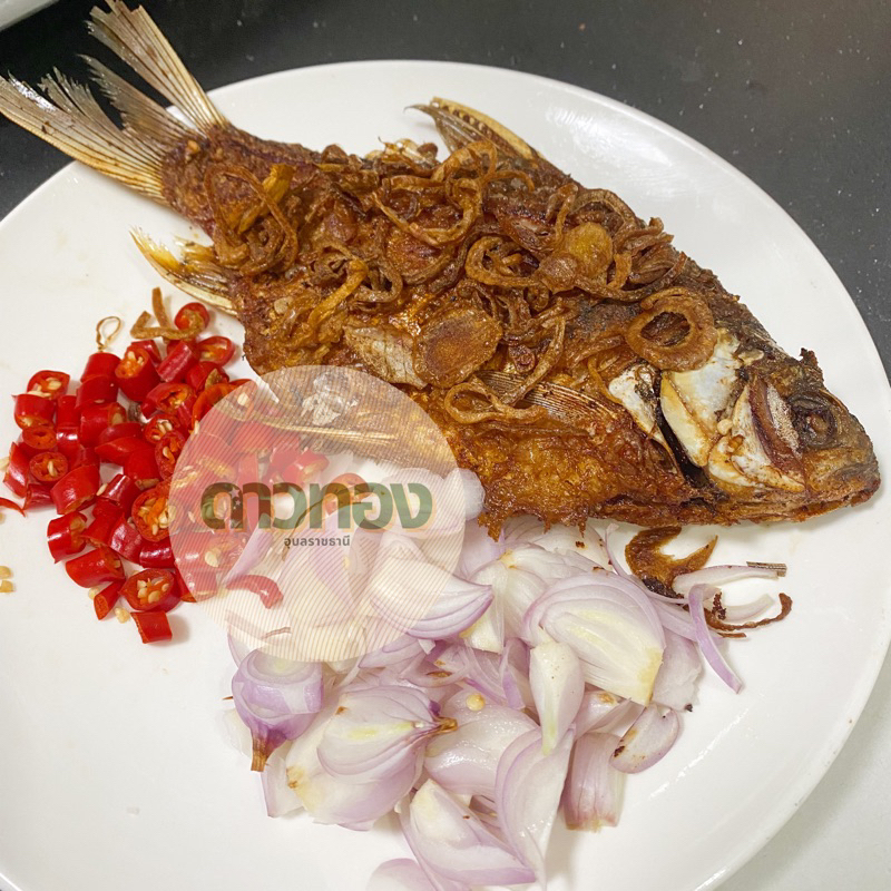 ปลาส้ม 1กิโลกรัม ร้านหมูยอดาวทองอุบลฯ