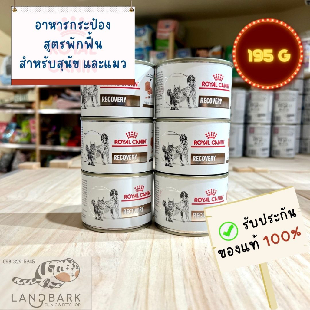 Royal Canin Dog/Cat Recovery 195g อาหารสูตรพักฟื้นสำหรับสุนัข และแมว