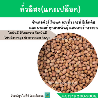 ถั่วลิสง แกะเปลือก (แบ่งขาย 200-500G.) สำหรับนกแก้วขนาดกลาง-ใหญ่ แฮมสเตอร์ กระรอก กระแต