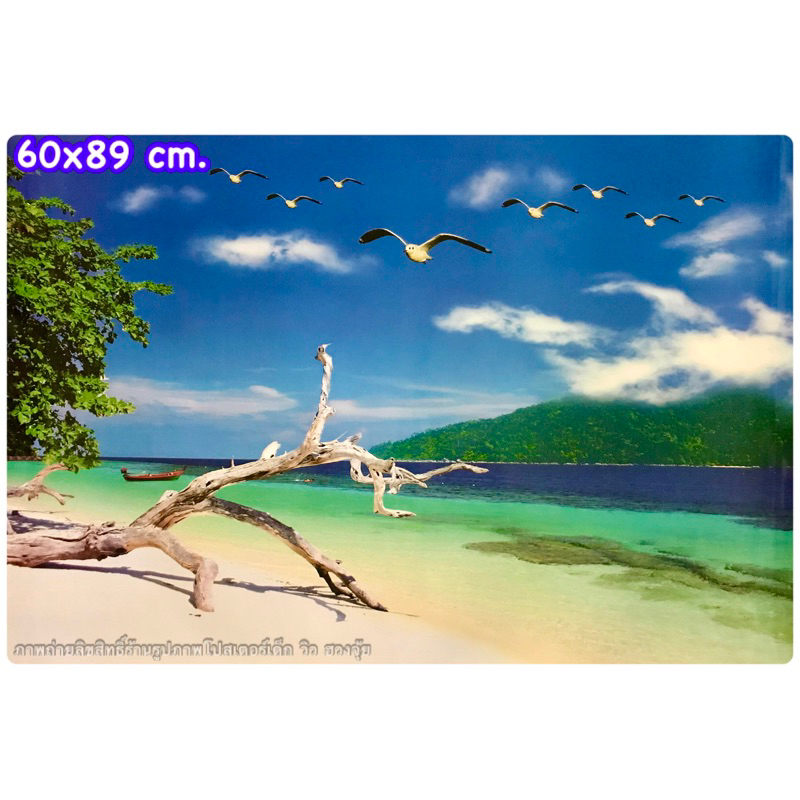 ไม่ใช่สติ๊กเกอร์ภาพโปสเตอร์วิว ทะเล ขนาด 60*89 เซนติเมตร