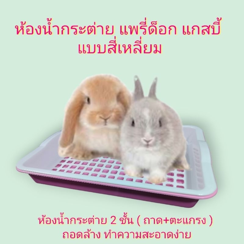 ห้องน้ำกระต่าย ถาดฉี่ รุ่นประหยัด ขนาด 33.5x 25.5 x 5 cm. ( คละสี )