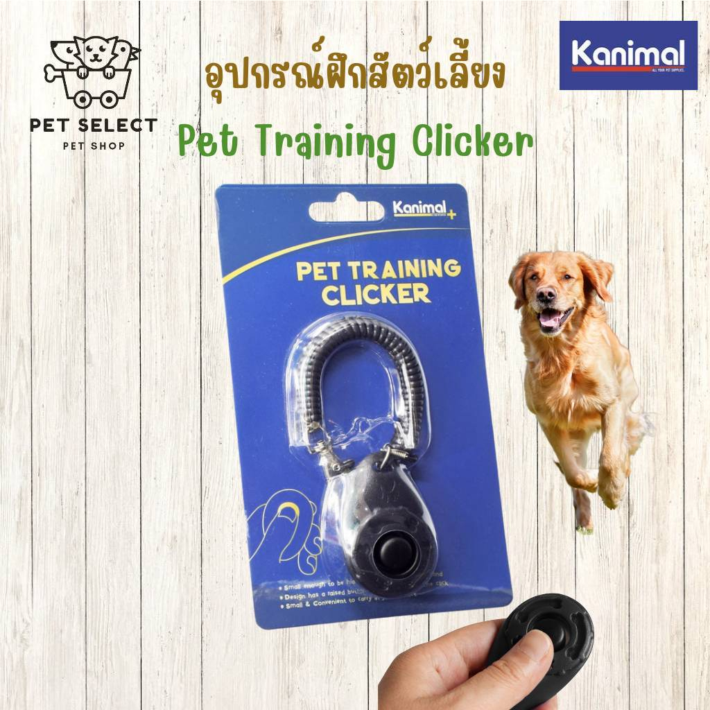ที่ฝึกสุนัข Dog Trainee Clicker อุปกรณ์การเลี้ยงสุนัข อุปกรณ์การฝึกสุนัข ปุ่มเรียกสุนัข ฝึกหมา เรียก