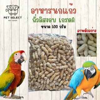 [500g.] ถั่วลิสง อาหารนก ขนมนก อาหารนกแก้ว ขนมนกแก้ว ถั่วลิสงอบ ถั่วนก อาหารสำรับ นก นกแก้ว นกแก้วแอฟฟริกันเกรย์