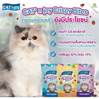 Catn joy Crispy Bites ขนมสำหรับแมว 60g