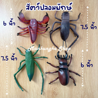 (ตัวใหญ่ 6-7 นิ้ว) จิ้งหรีด ด้วง แมลงปลอม สัตว์ปลอม ของเล่นเด็ก