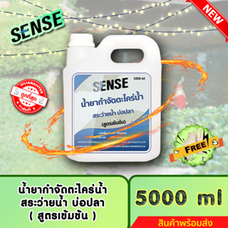 SENSE น้ำยากำจัดตะไคร่น้ำสระว่ายน้ำ,ตะไคร่น้ำบ่อปลา (สูตรเข้มข้น) ขนาด 5000 ml ++สินค้าพร้อมส่ง++ #แถมฟรีถุงมือ 🧤