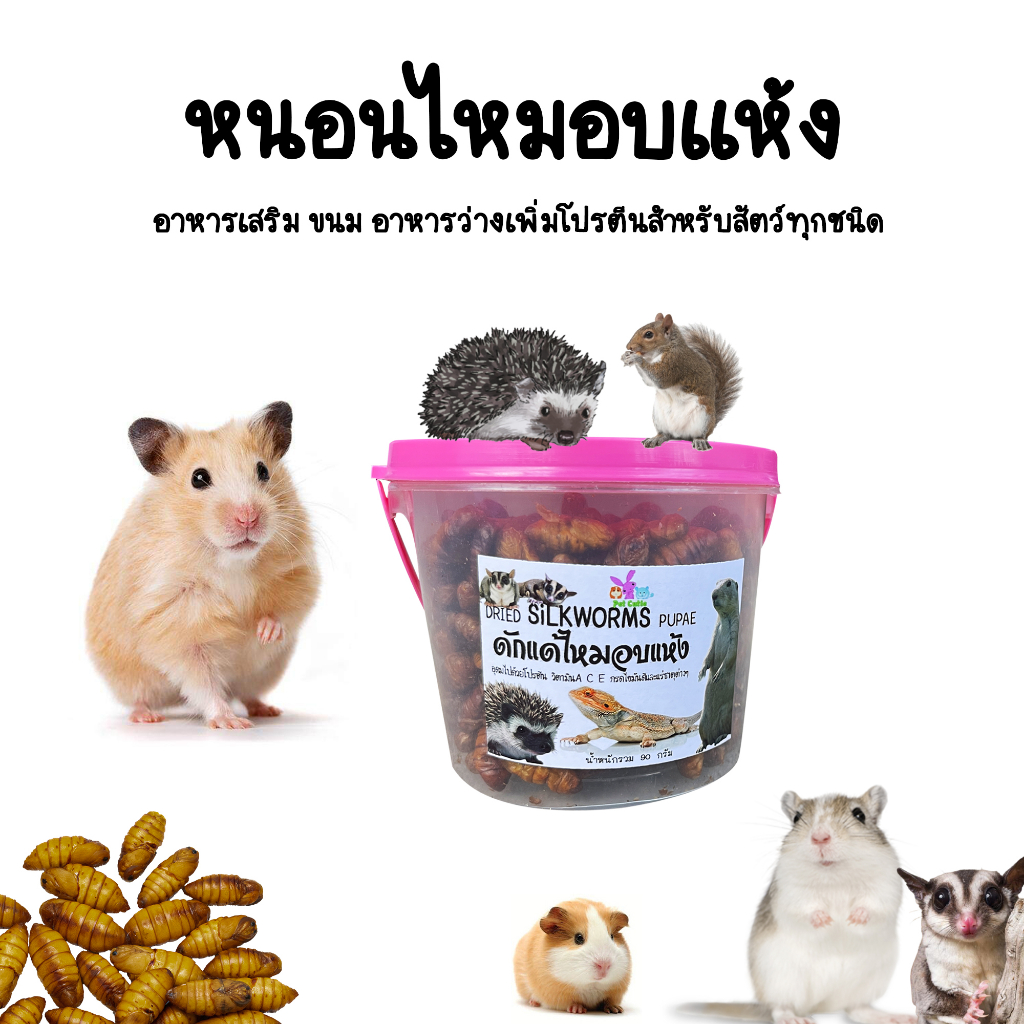 หนอนไหมอบเเห้ง เพิ่มโปรตีนสำหรับสัตว์ที่กินเเมลง เเฮมเตอร์ ชูการ์ เม่น กระรอก ดอร์เม้าท์(แบ่งขายกะปุกทดลอง)