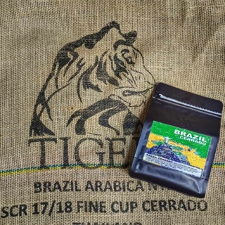 𝐁𝐫𝐚𝐳𝐢𝐥 𝐂𝐞𝐫𝐫𝐚𝐝𝐨 Tiger coffee SCR 17/18 FINE CUP Cerrado​ เมล็ดกาแฟ บราซิล เซอร์ราโด้​ เมล็ดกาแฟ​คั่ว​เกรด​A