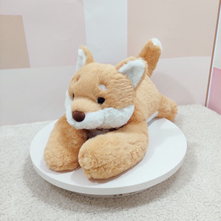 ตุ๊กตาหมาคิ้วท์ พร้อมส่ง