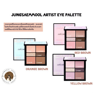 พร้อมส่ง JUNG SAEM MOOL Artist Eye Palette