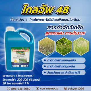 (ไกลอัพ48 กิเลนฟ้า) สูตรทนฝนน้ำฟ้า ขนาด 4 ลิตร ยากำจัดวัชพืชประเภทใบกว้าง ใบแคบหญ้าปากควาย และกก