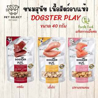 [40g.] ขนมสุนัข อาหารสุนัข Dogster Play ( มี 3 สูตรให้เลือก )ชิ้นเนื้อแท้ๆ 100% เต็มคำ ไม่ใช้วัตถุกันเสีย สี กลิ่น