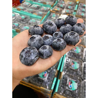 พร้อมส่ง‼️125g บลูเบอร์รี่สด นำเข้า Blueberry (เน้นส่งล็อตใหม่)