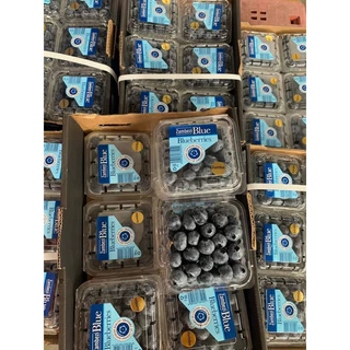 พร้อมส่ง‼️125g บลูเบอร์รี่สด นำเข้า Blueberry (เน้นส่งล็อตใหม่)